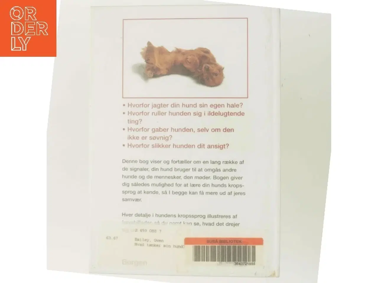 Billede 3 - Hvad tænker min hund? af Gwen Bailey (Bog)