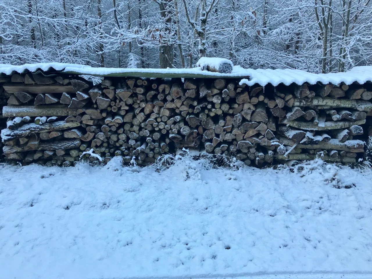 Billede 1 - Brænde birk