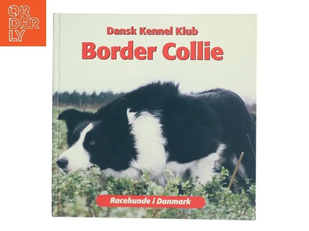 Billede 1 - Border Collie af Emmy Simonsen (Bog)