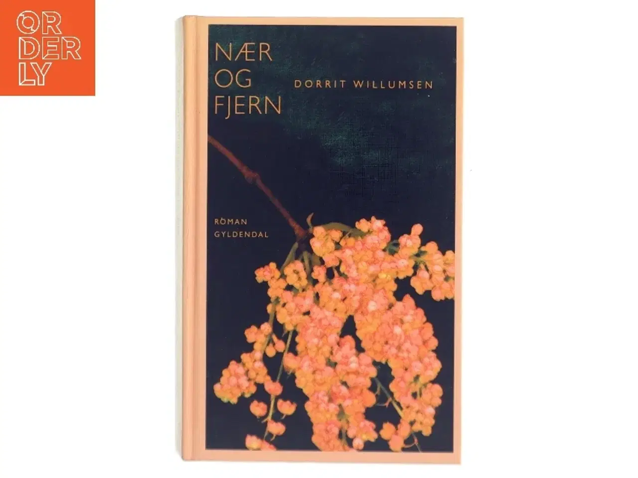 Billede 1 - Nær og fjern af Dorrit Willumsen (Bog)