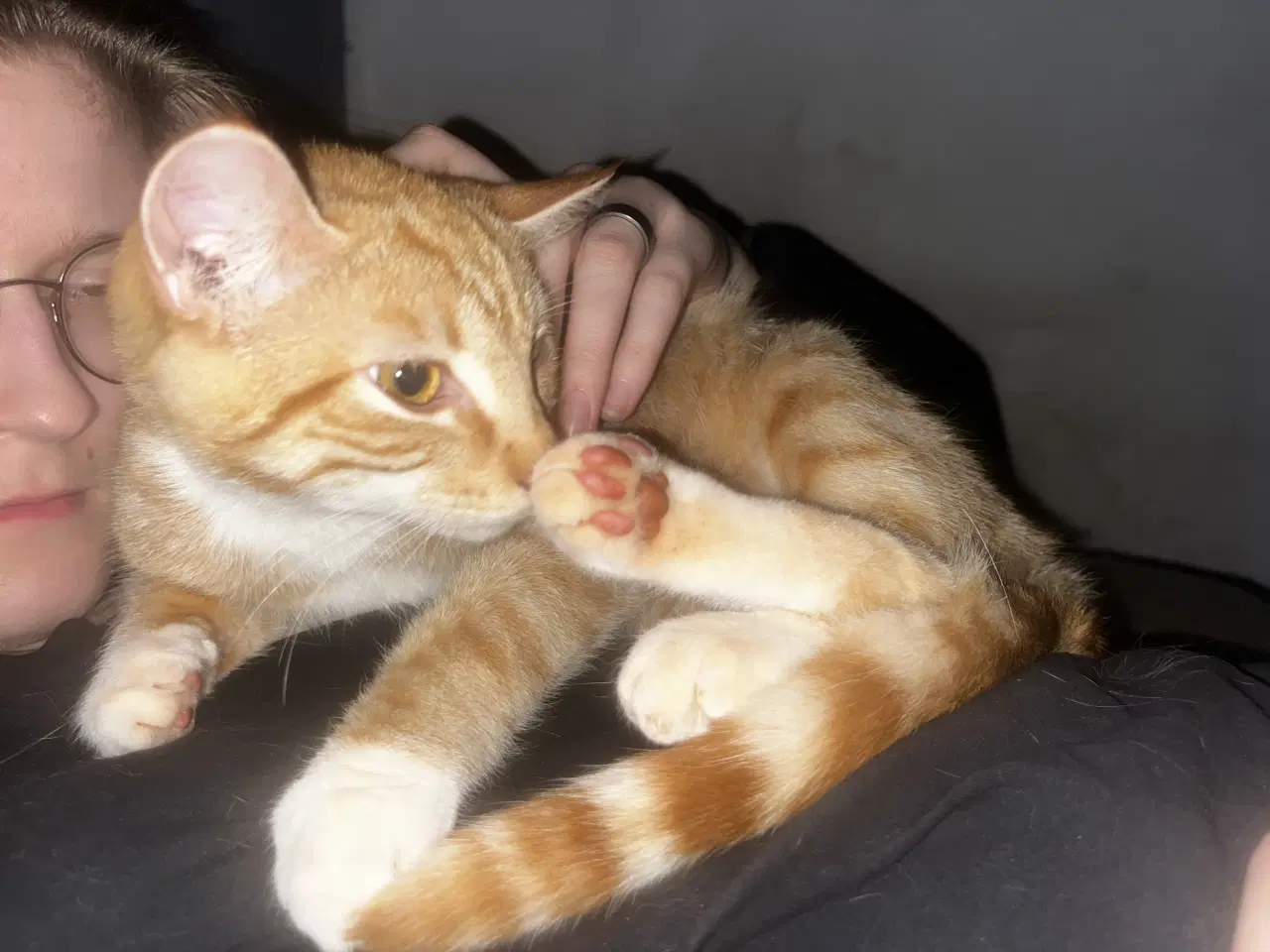 Billede 2 - Dejlige indendørskillinger -Afdrag muligt