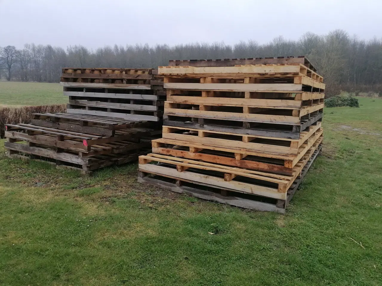 Billede 6 - Gangbro / Rampe 80x320 cm Træ 