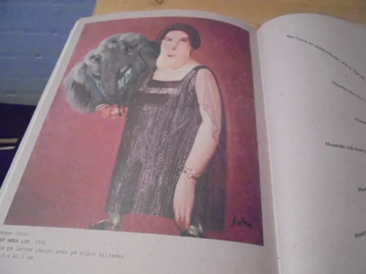 Billede 11 - 100 Asger Jorn Eksperimenter vi kan lave...