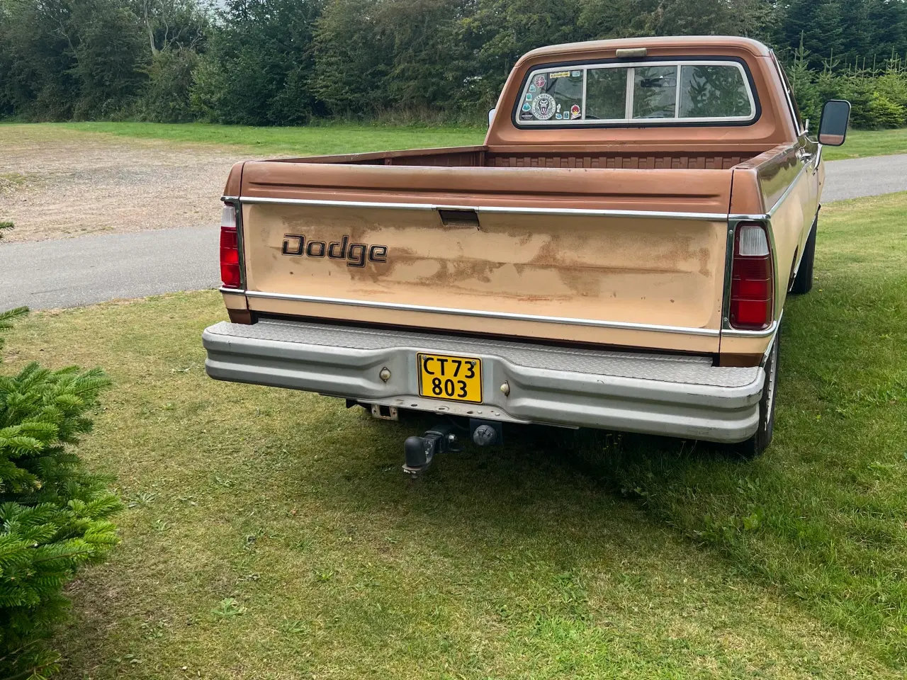 Billede 2 - Dodge D200 v8