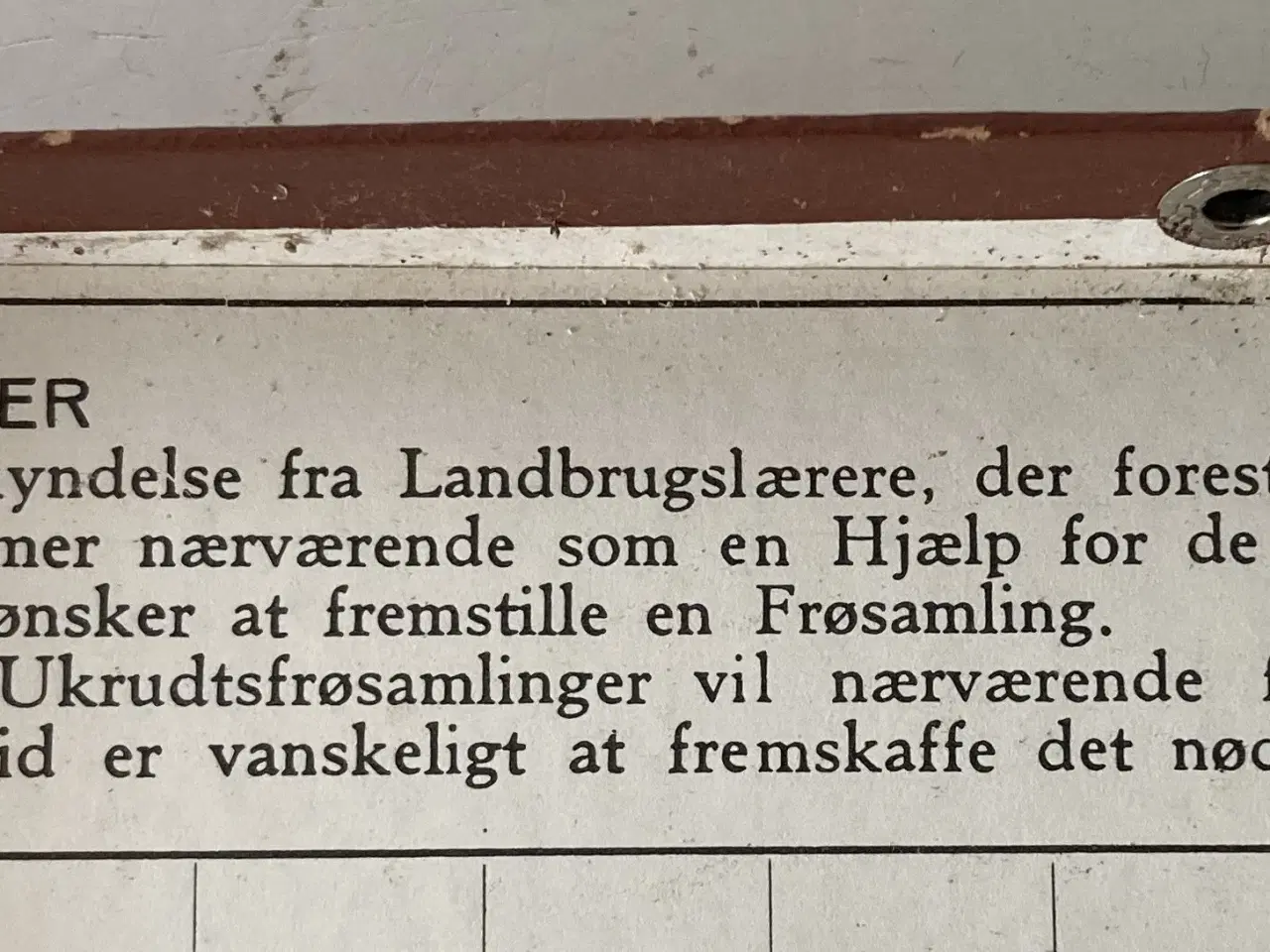 Billede 3 - Frøsamling i æske, ca. 1955