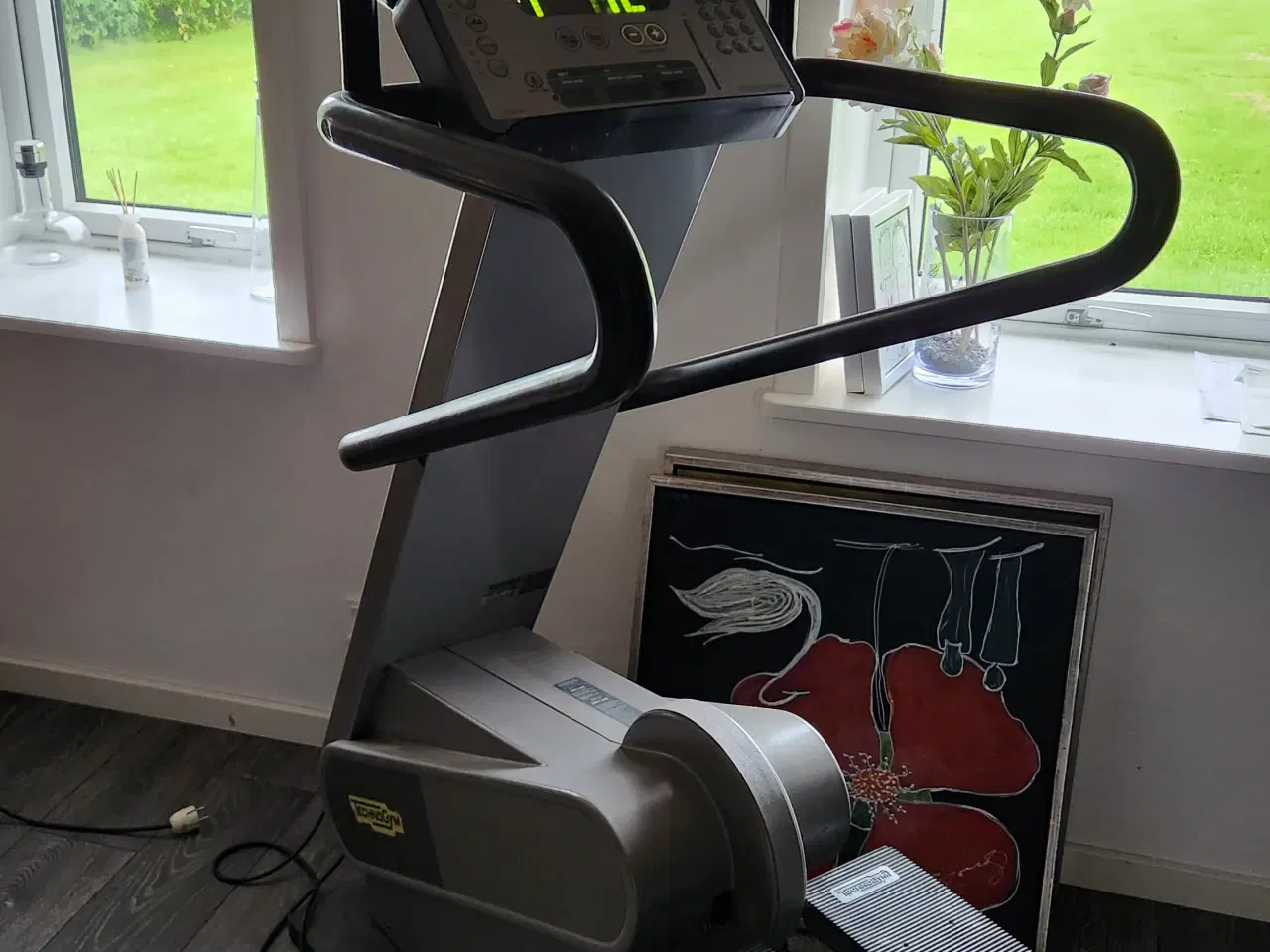 Billede 1 - Technogym Step 600 XT Pro - Stepmaskine