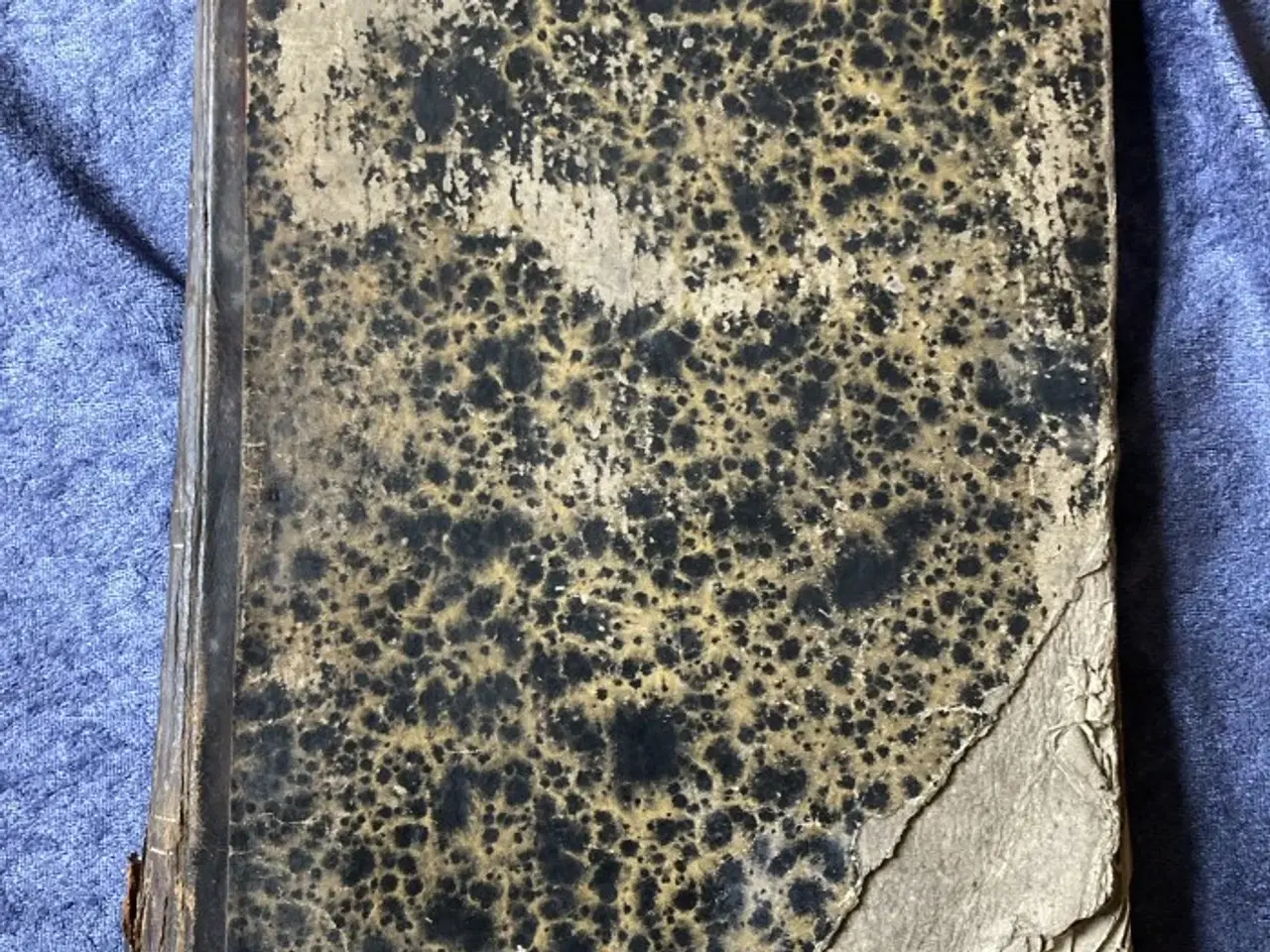 Billede 3 - Gammel kassebog