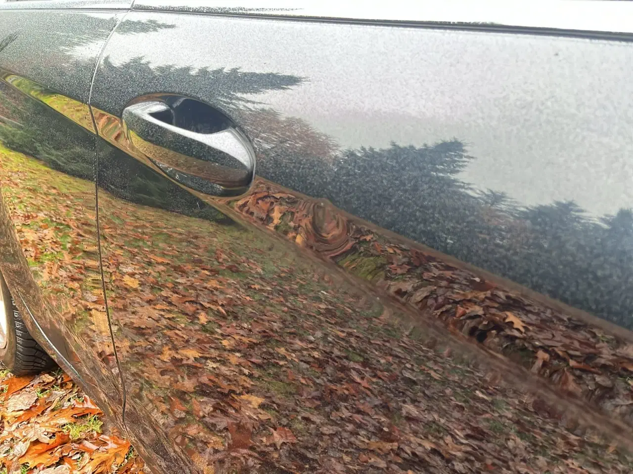 Billede 18 - Ford Fiesta 1,0 SCTi 100 Titanium