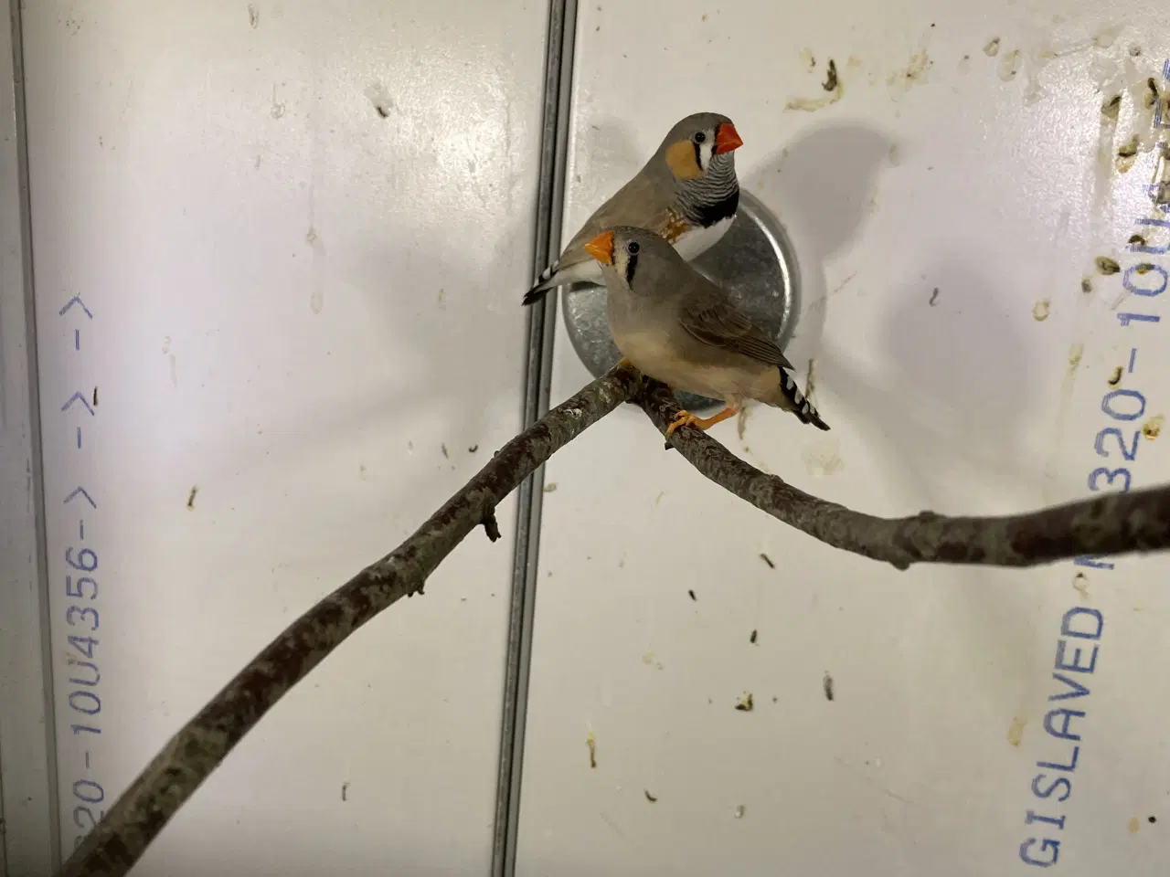 Billede 6 - Div finker