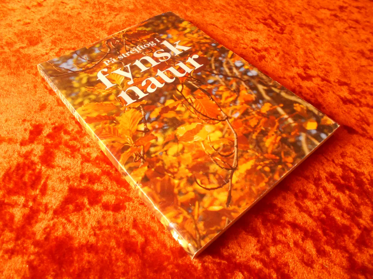 Billede 1 - På strejftog i fynsk natur, Fyns Amt,