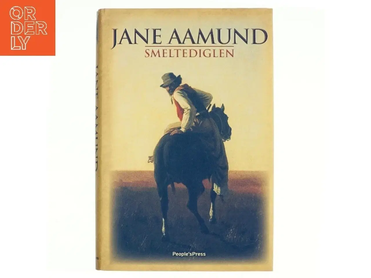 Billede 1 - Smeltediglen : andet bind i slægtskrøniken om de dansk-argentinske indvandrere : roman af Jane Aamund (Bog)