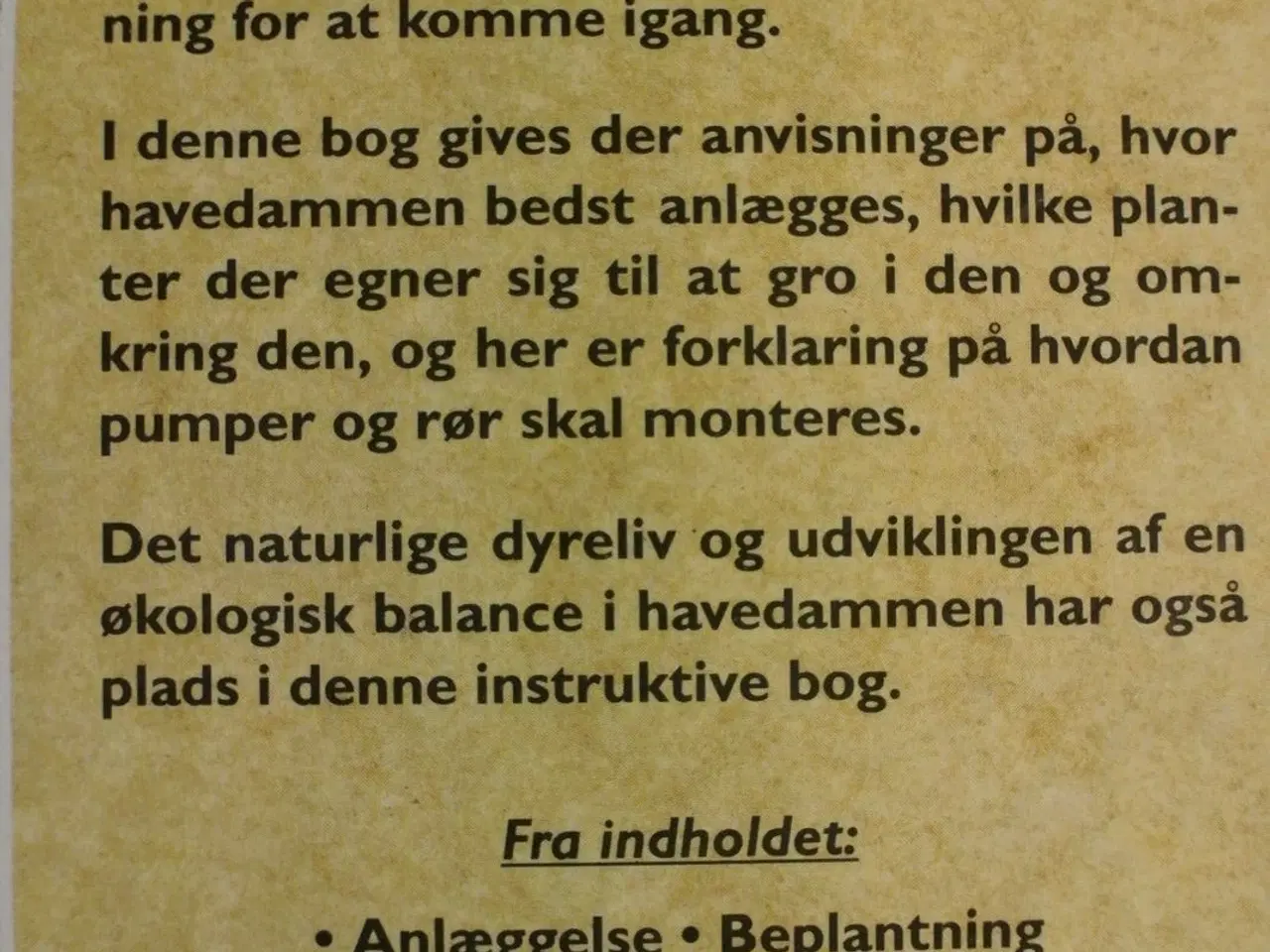 Billede 3 - den frodige vandhave - havedam og bæk, planter og 