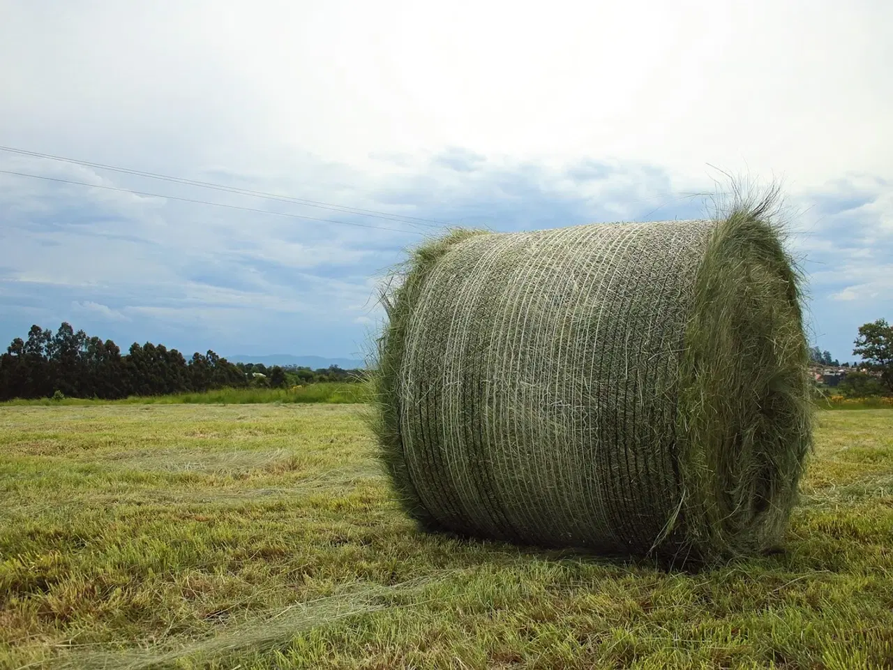Billede 2 - Rundballenet i alle størrelser 