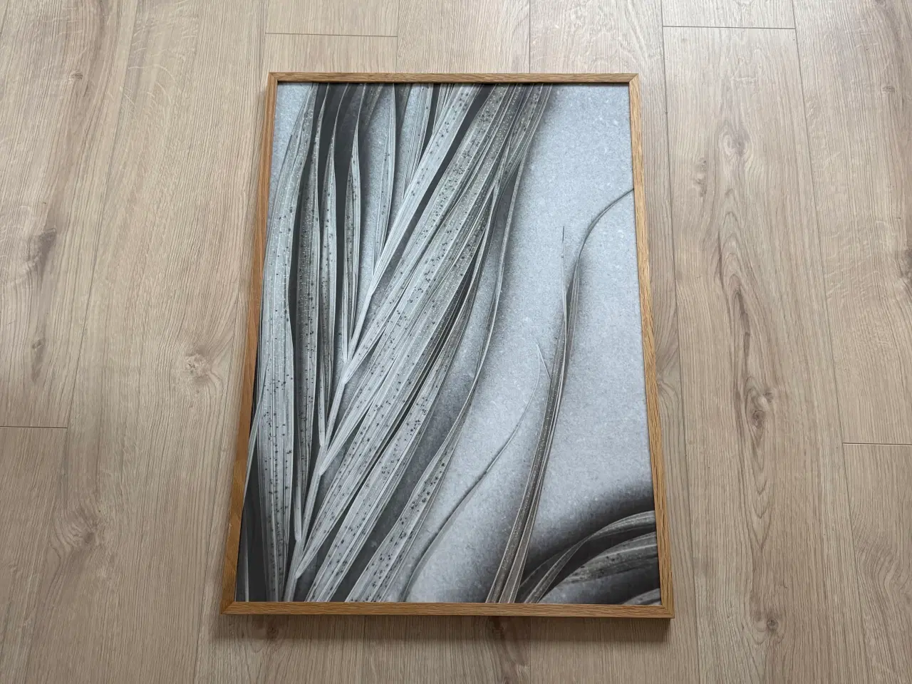 Billede 1 - Plakat med bladmotiv - inkl. træramme