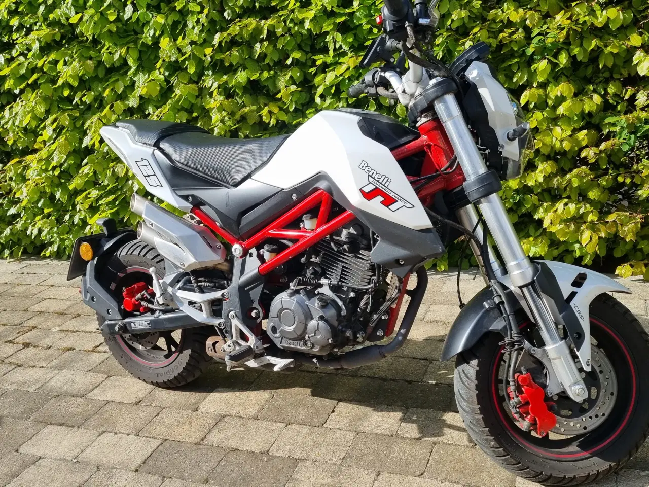 Billede 1 - Benelli TNT Tornado 125