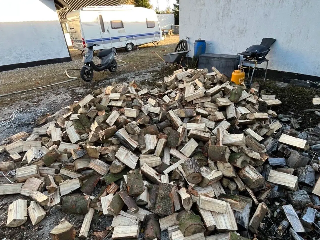 Billede 1 - Grantræ kløvet og næsten tørt