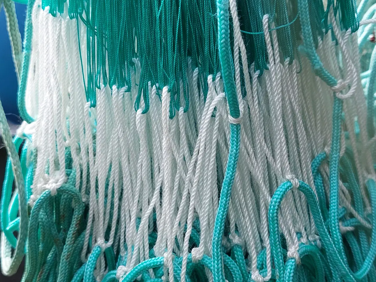 Billede 5 - Rødspætte / Skrubbegarn