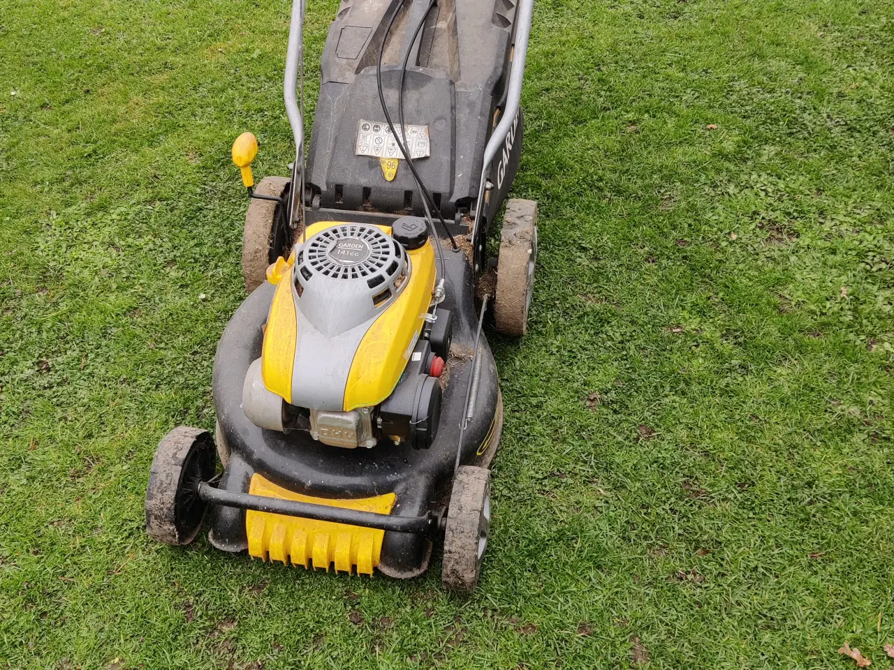 Billede 1 - plæneklipper