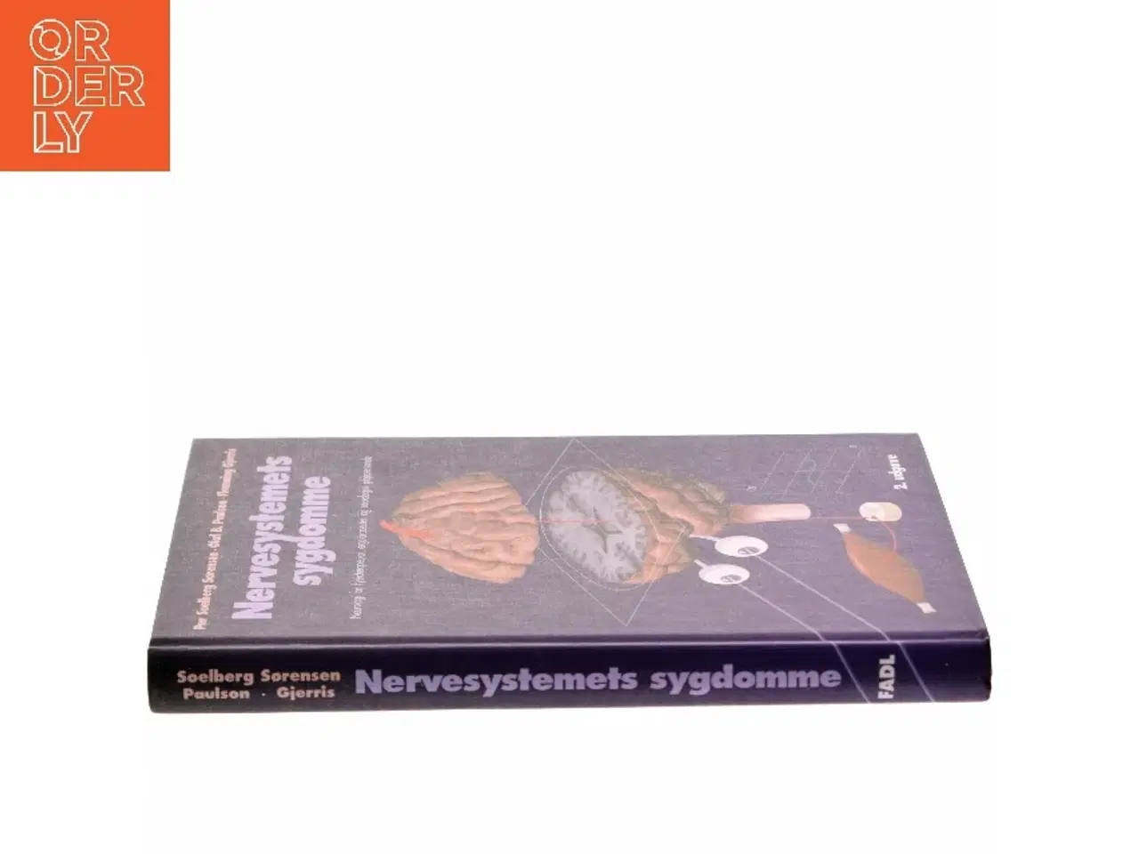 Billede 2 - Nervesystemets sygdomme : neurologi for fysioterapeuter, ergoterapeuter og neurologisk plejepersonale (Bog)