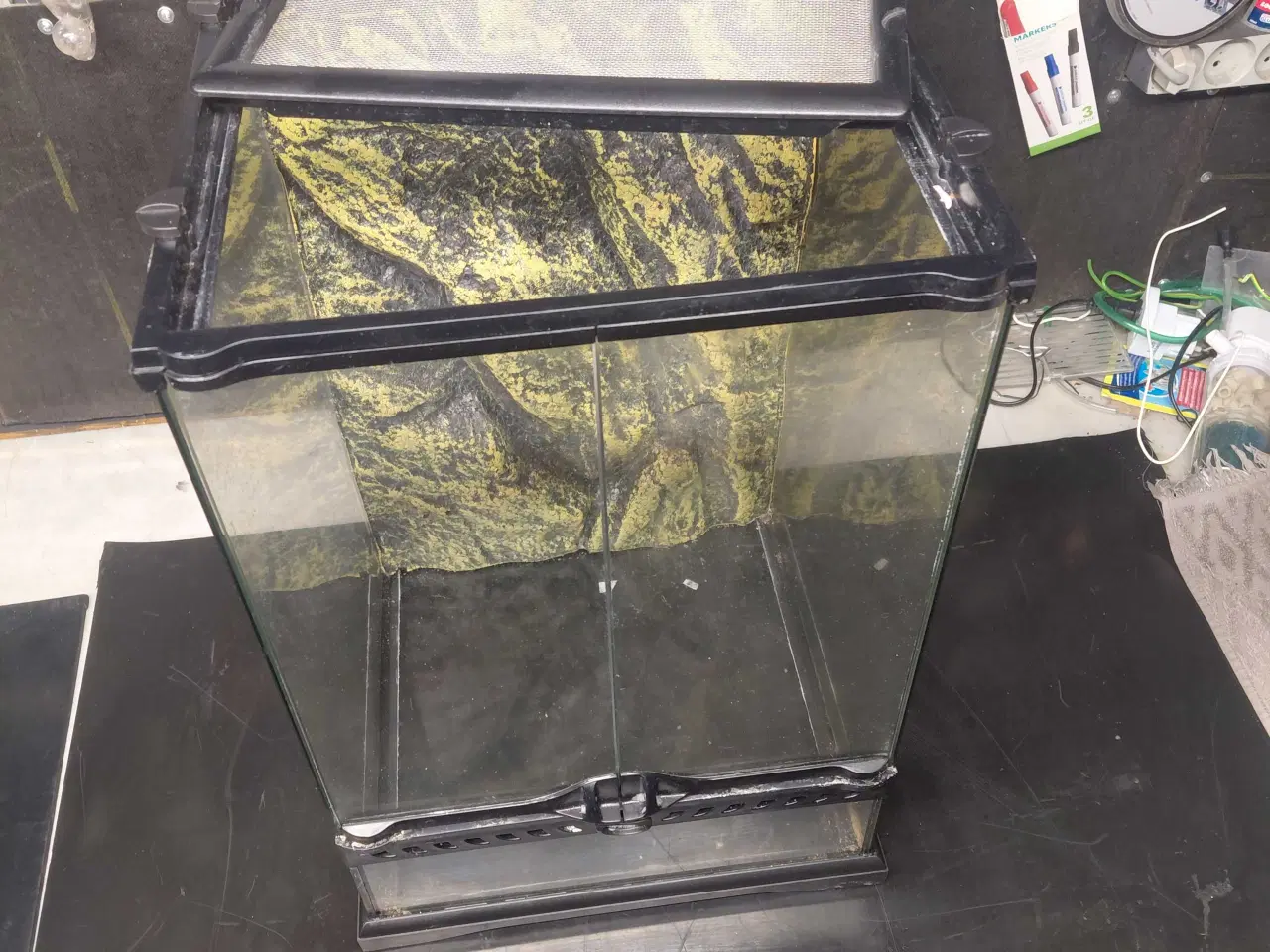 Billede 5 - Exo Terra Glass Terrarium