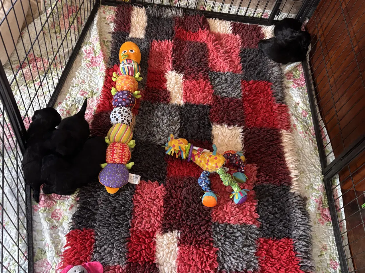 Billede 4 - Dejlige små bamser 💗