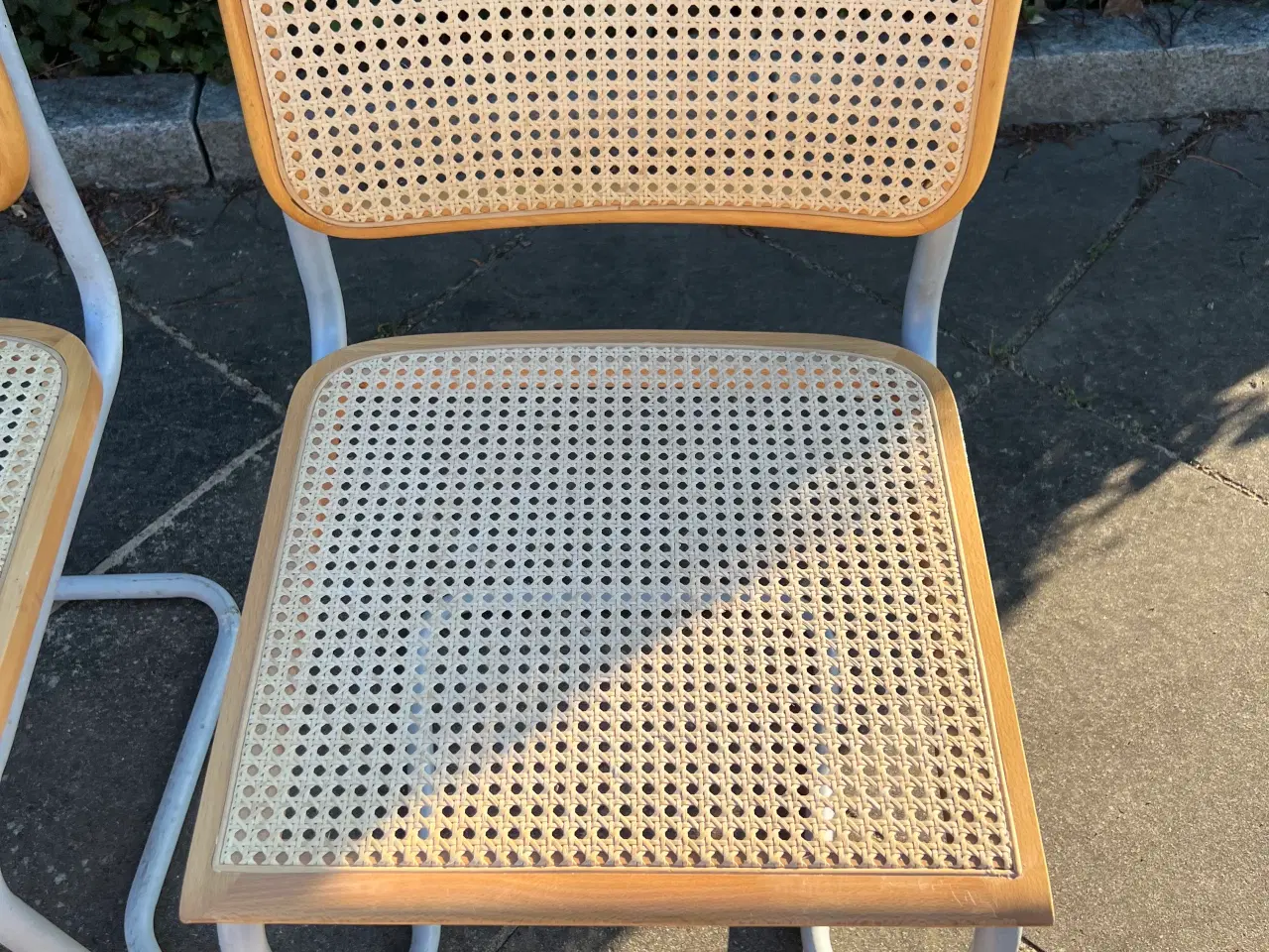 Billede 6 - Frisvinger med stable stel 