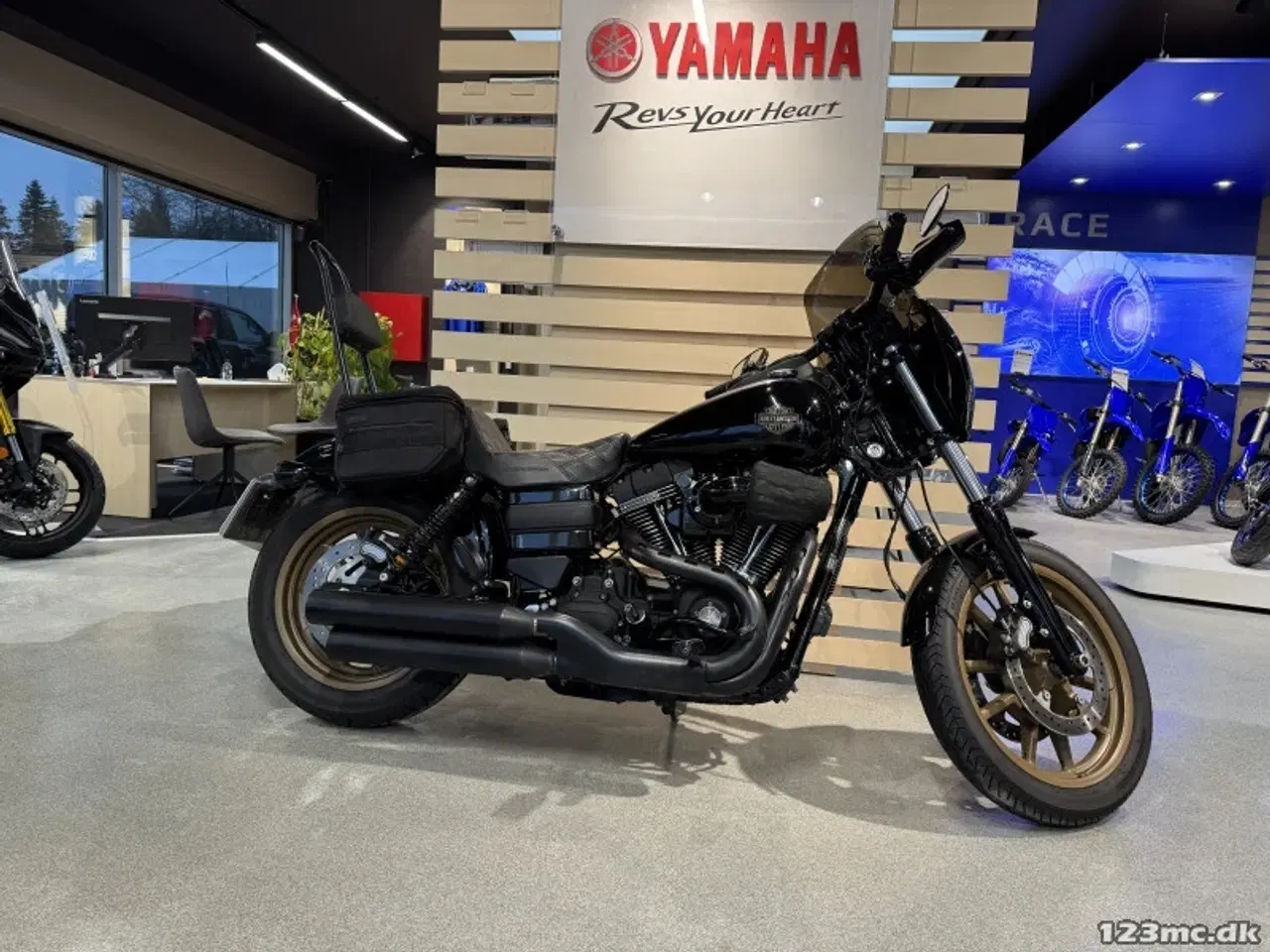 Billede 1 - Harley-Davidson FXDLS Dyna Low Rider S