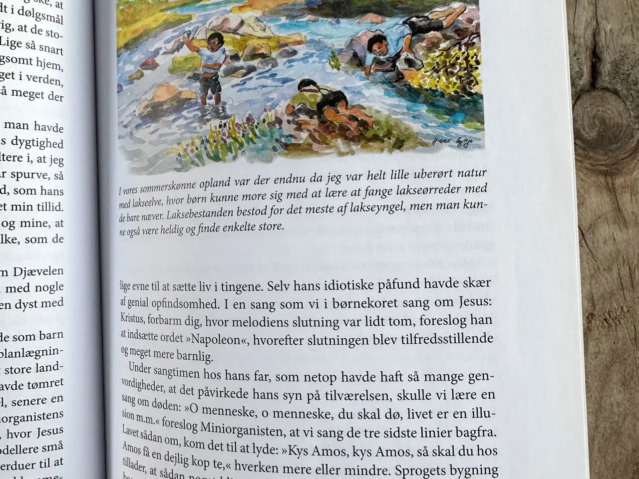 Billede 5 - Grønlands Indre Liv, Hans Lynge