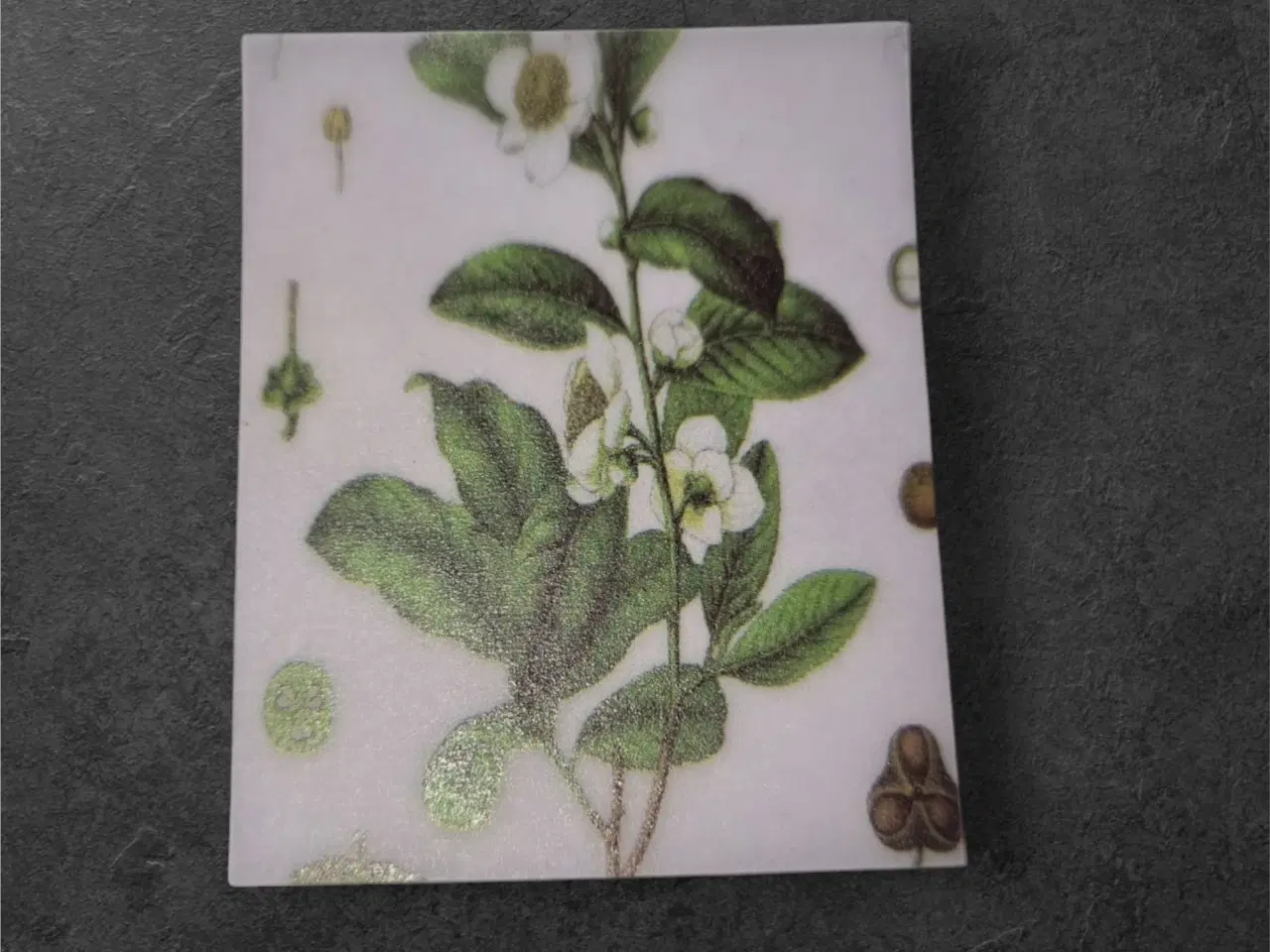 Billede 1 - Botaniske papirark med hvide blomster og grå baggr