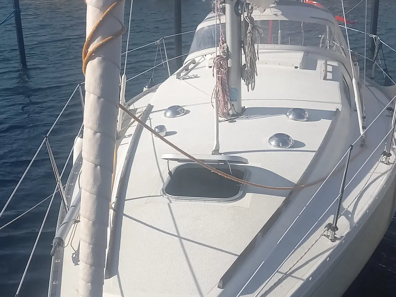 Billede 2 - Albin Scampi 30