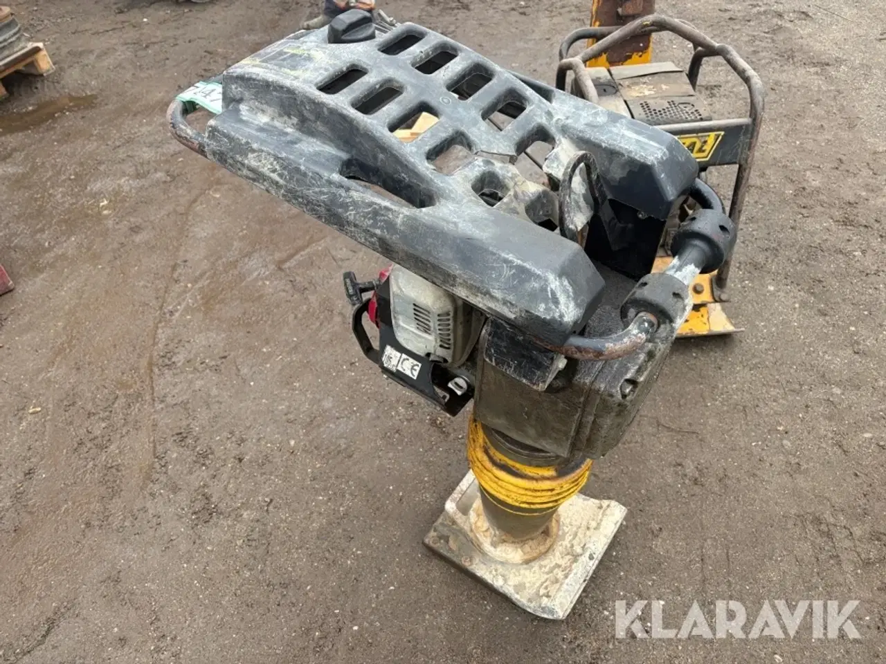 Billede 2 - Jordloppe Shatal