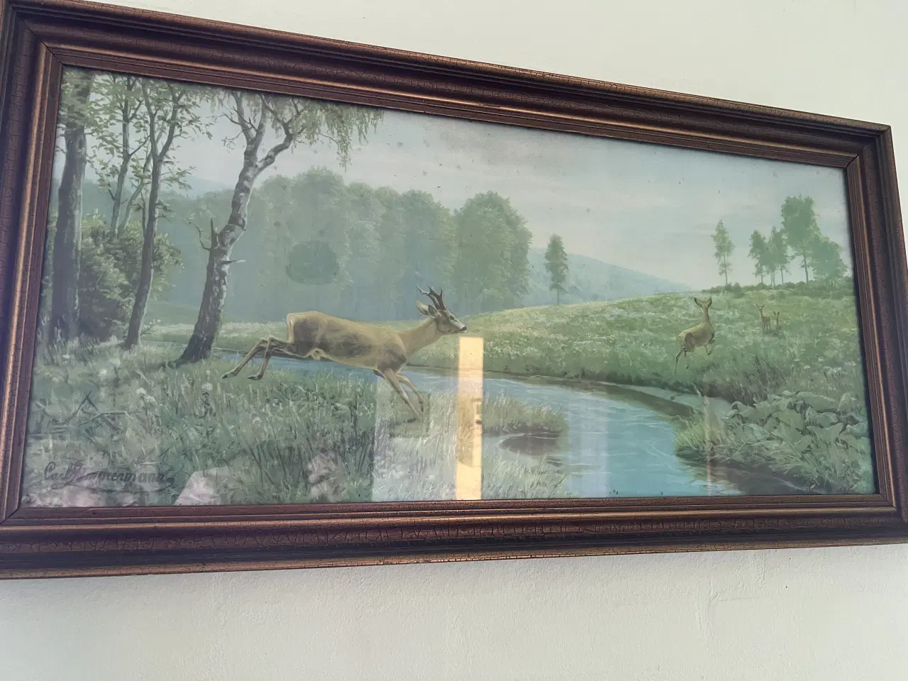 Billede 1 - Gamle billeder