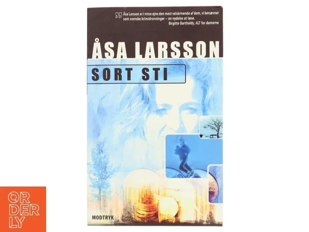 Billede 1 - Sort sti af Åsa Larsson (Bog)
