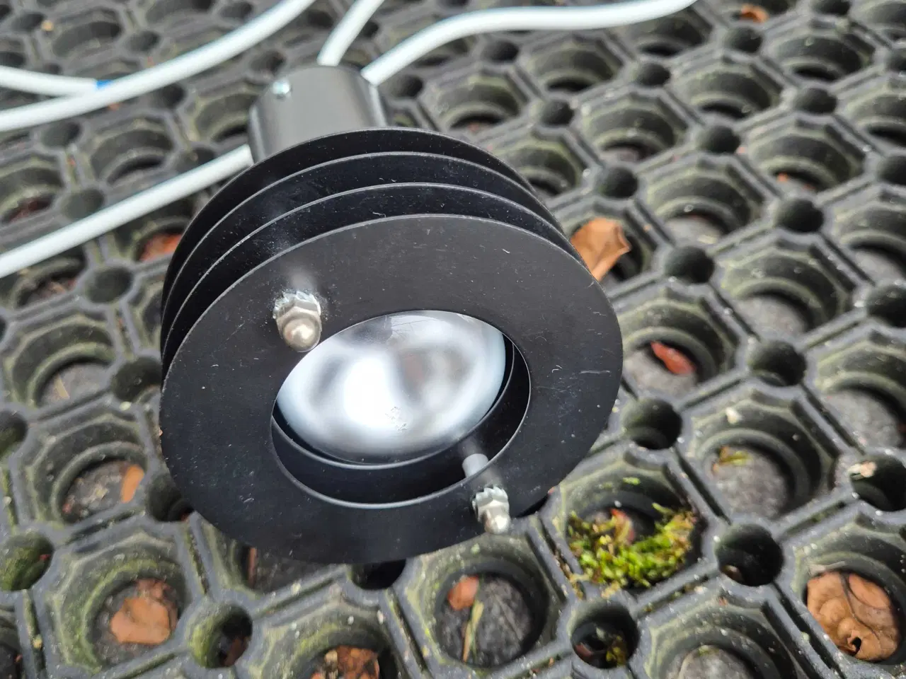 Billede 11 - Sød lille Fiks fra Lyfa