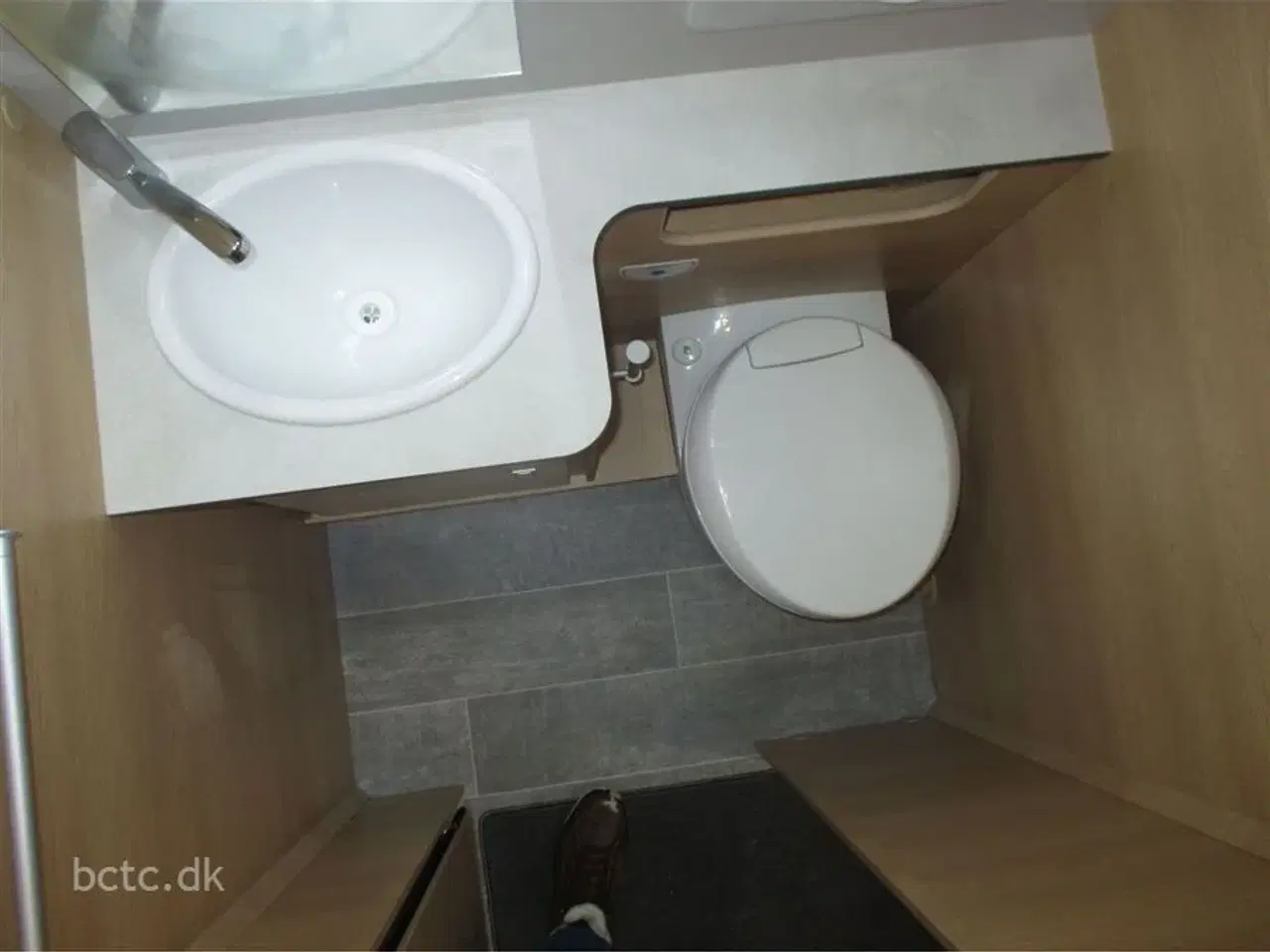 Billede 13 - 2026 - Giottiline Sienna