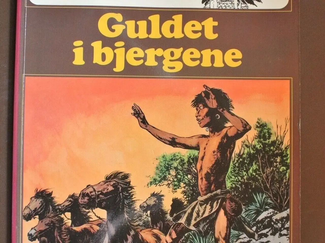 Billede 1 - indianerne 6 - guldet i bjergene, af hans kresse, 
