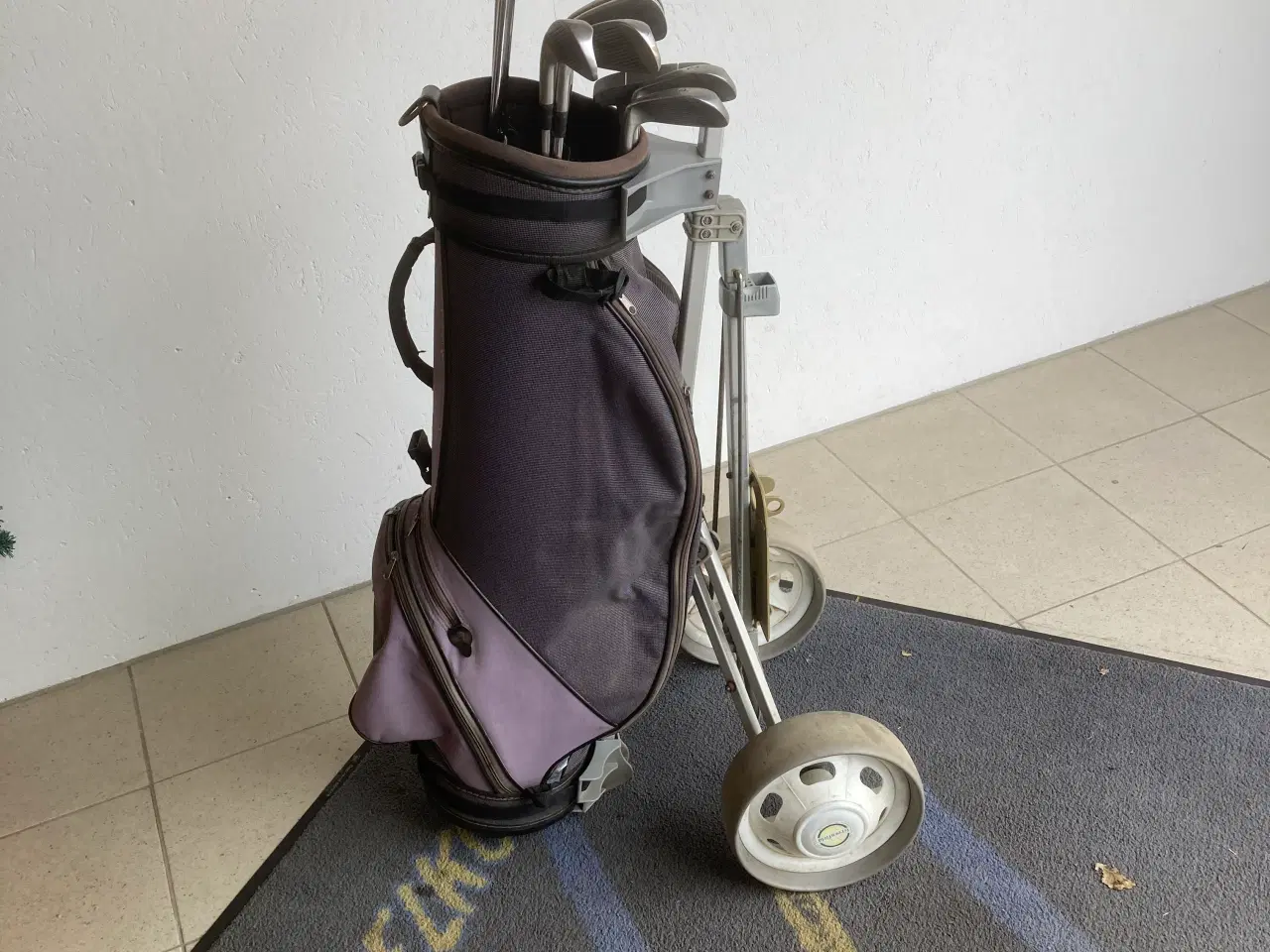 Billede 5 - Golfsæt Vogn,Bag,Køller/Jern + putter