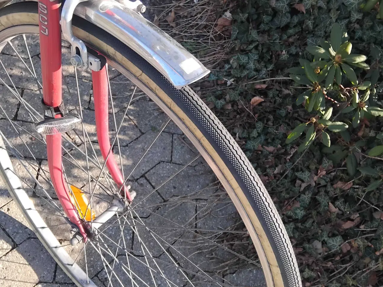 Billede 4 - Sco verdensmester