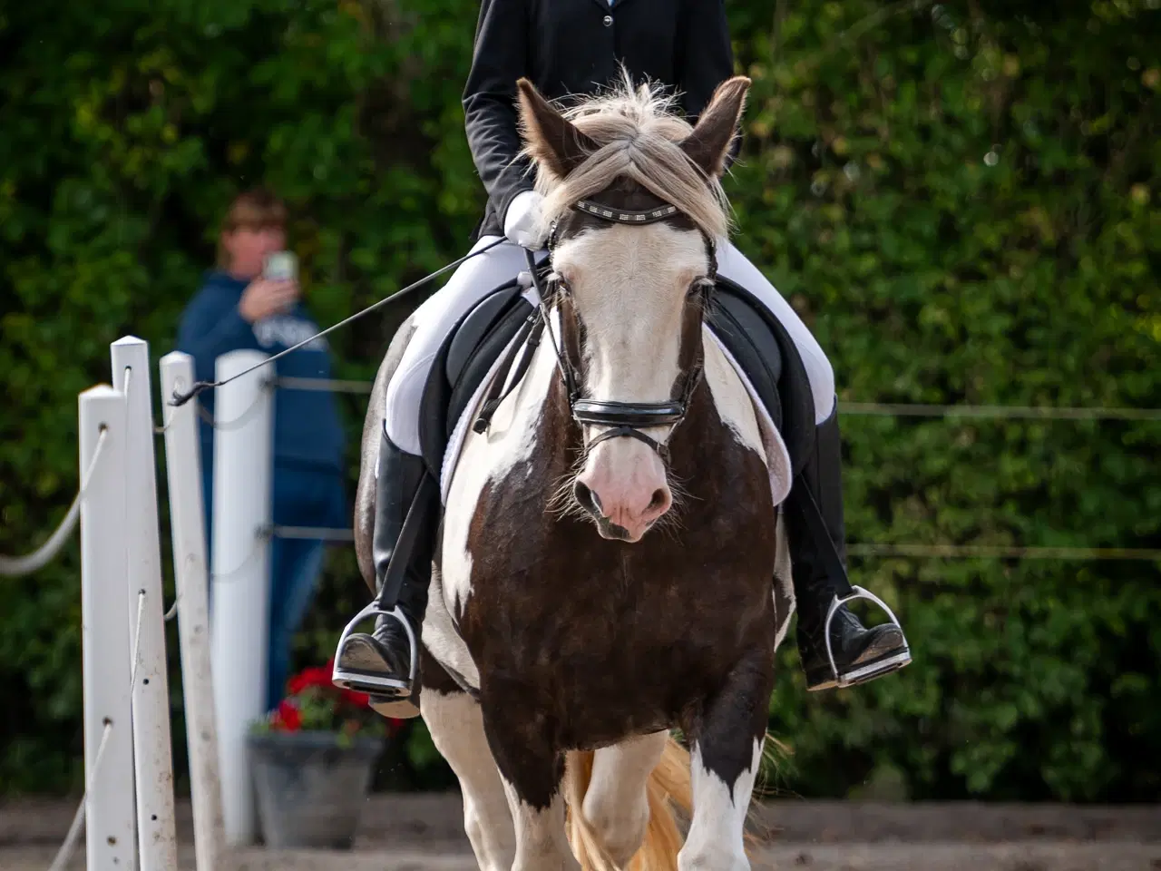 Billede 5 - Tinker hoppe 