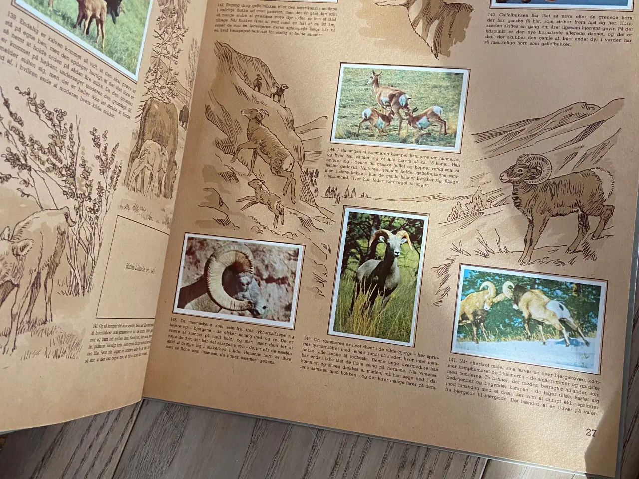 Billede 3 - 8 Rich’s samlealbum