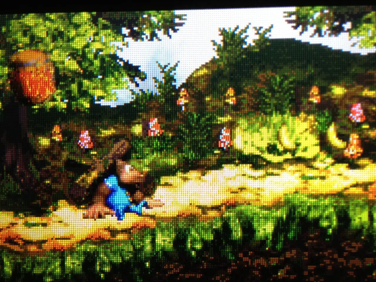 Billede 10 - Gameboy Advance spil