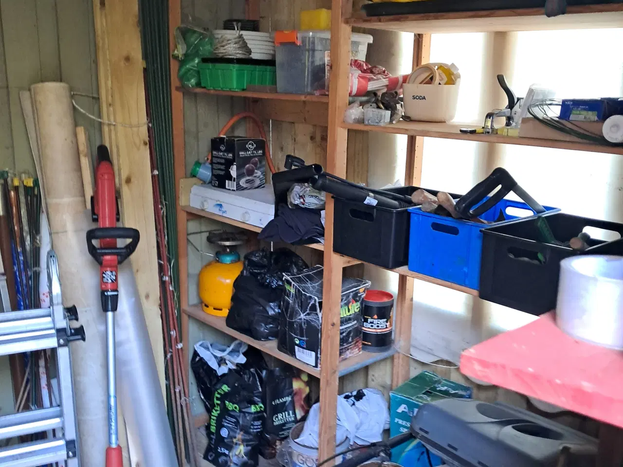 Billede 6 - Kolonihave I Vejle