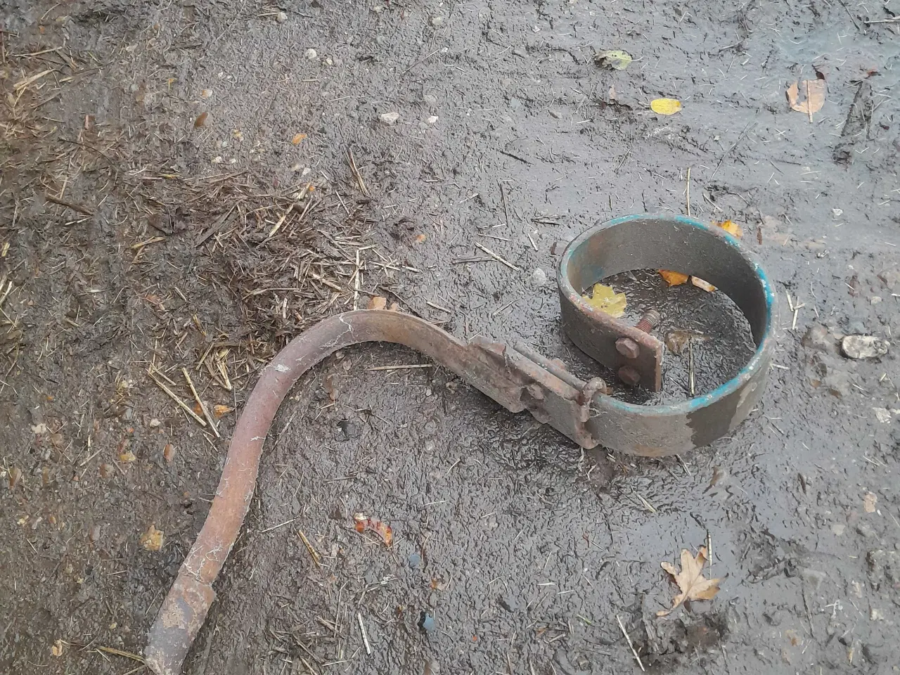 Billede 1 - Marsk stig