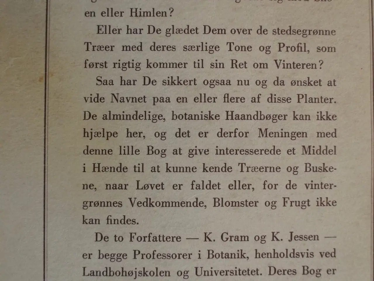 Billede 2 - træer og buske i vintertilstand, af k. gram og k. 
