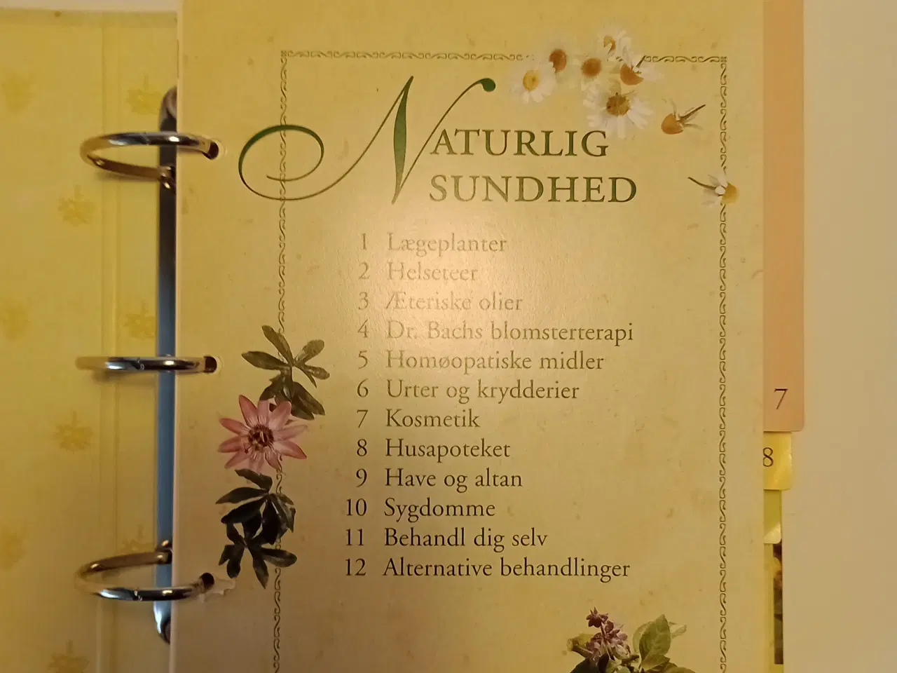 Billede 2 - Ny pris! 5 Leksikon Sundhed Naturlig