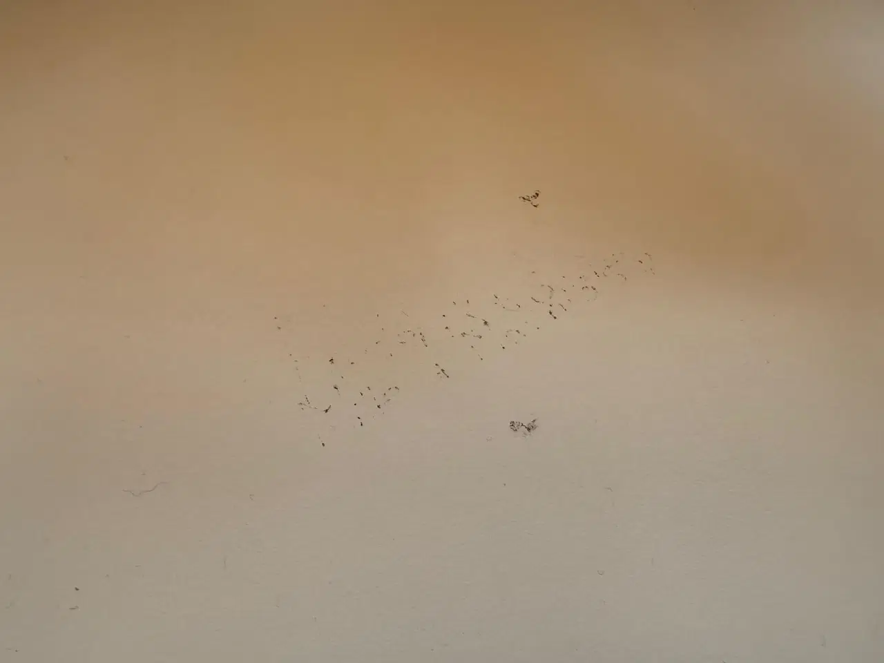 Billede 3 - Delta Natbord