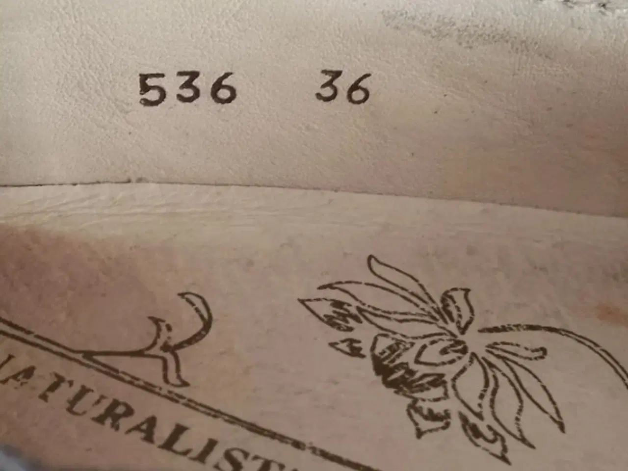 Billede 3 - El Naturalista