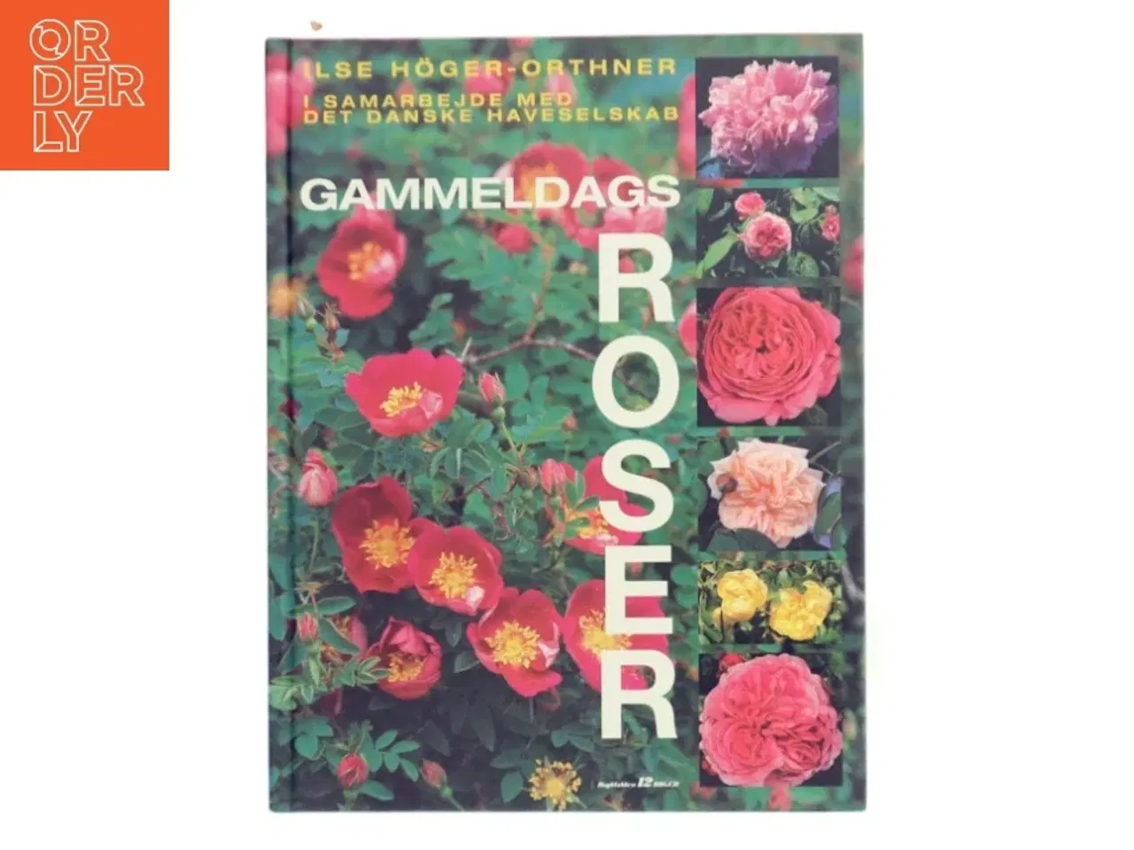 Billede 1 - Gammeldags Roser af Ilse Hger-Orthner (Bog)