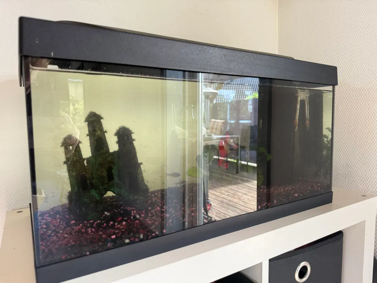 Billede 1 - Akvarie 54L 