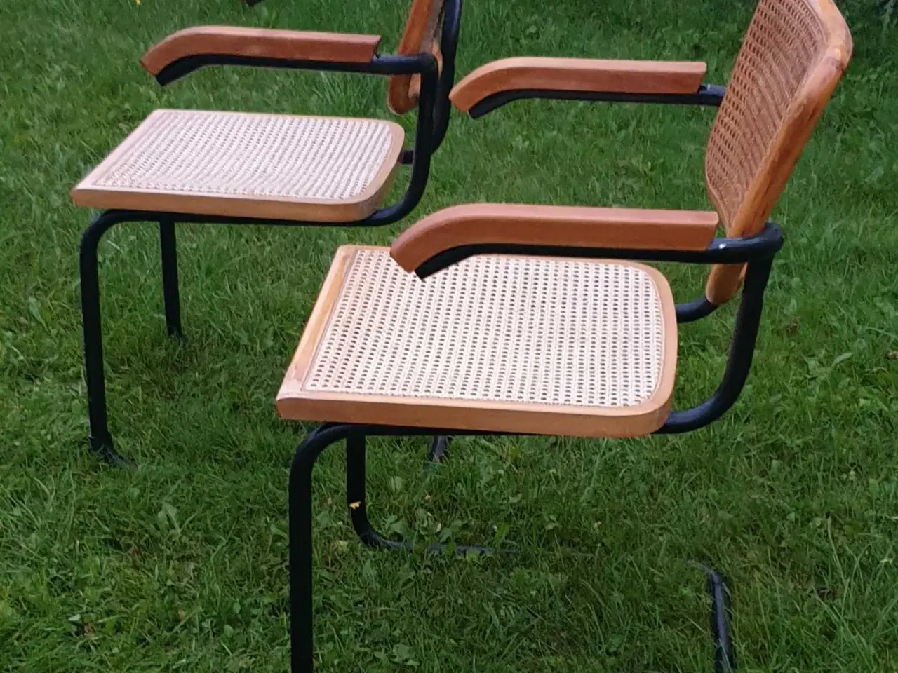 Billede 1 - Frisvingerstole med armlæn 